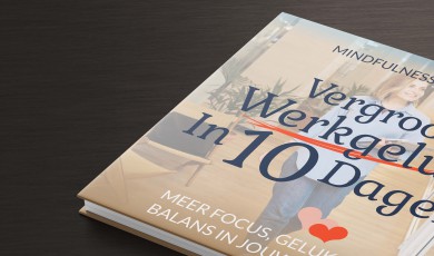 Vergroot je werkgeluk in 10 Dagen: meer focus, geluk en balans in je werk&nbsp;