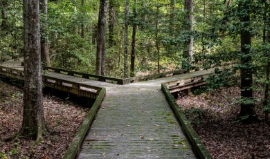 Van twijfel naar keuze: beslissingen leren nemen