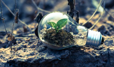 De kracht van bewust leven