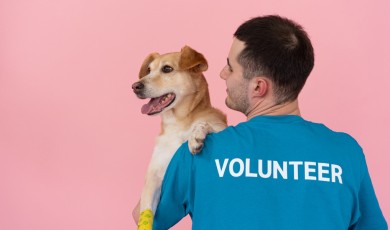 100 voorbeelden van vrijwilligerswerk